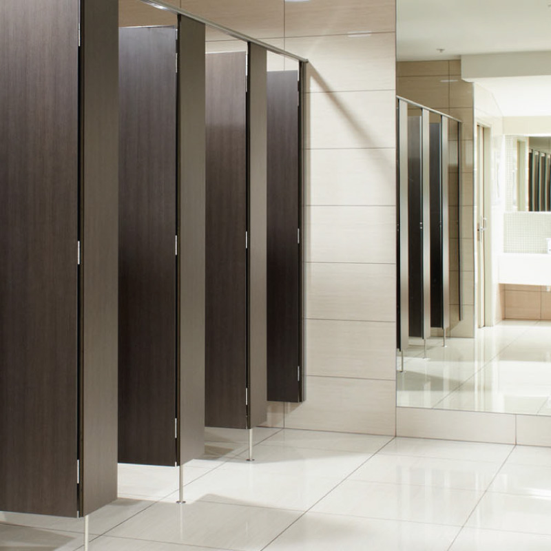 Toilet Partitioning